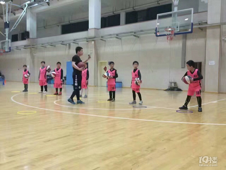 籃球夢第十七季