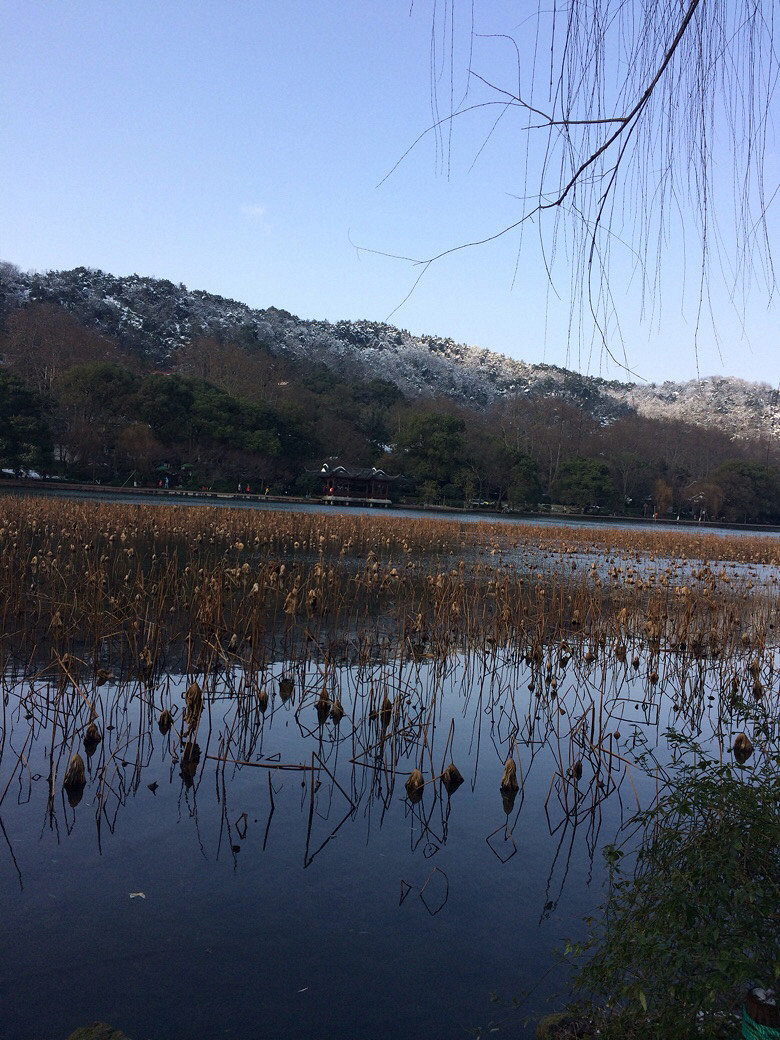 #你觉得今天的星座预测准吗?#双鱼座2017.1.1