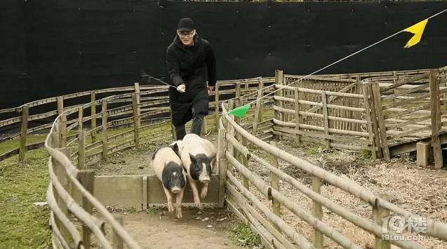 ul(xing)ɫ׌W(wng)tF(xin)ֱˣ