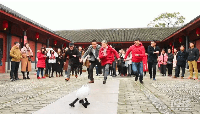 ul(xing)ɫ׌W(wng)tF(xin)ֱ