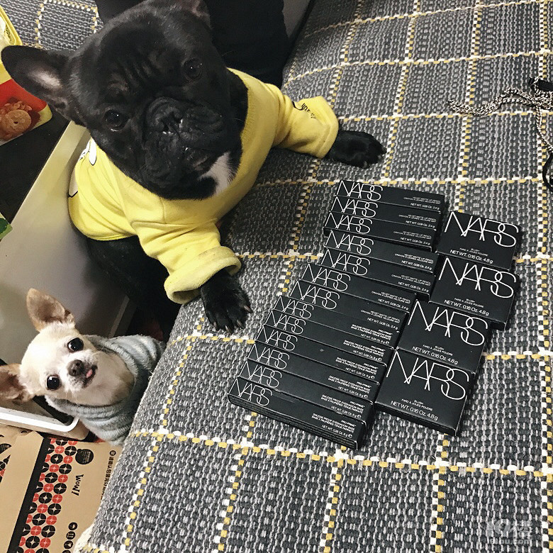 法國(guó)斗牛犬 法斗 求配種 找老婆�。�！
