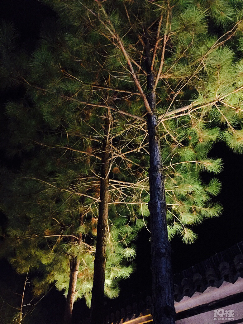 (bo)졪20171