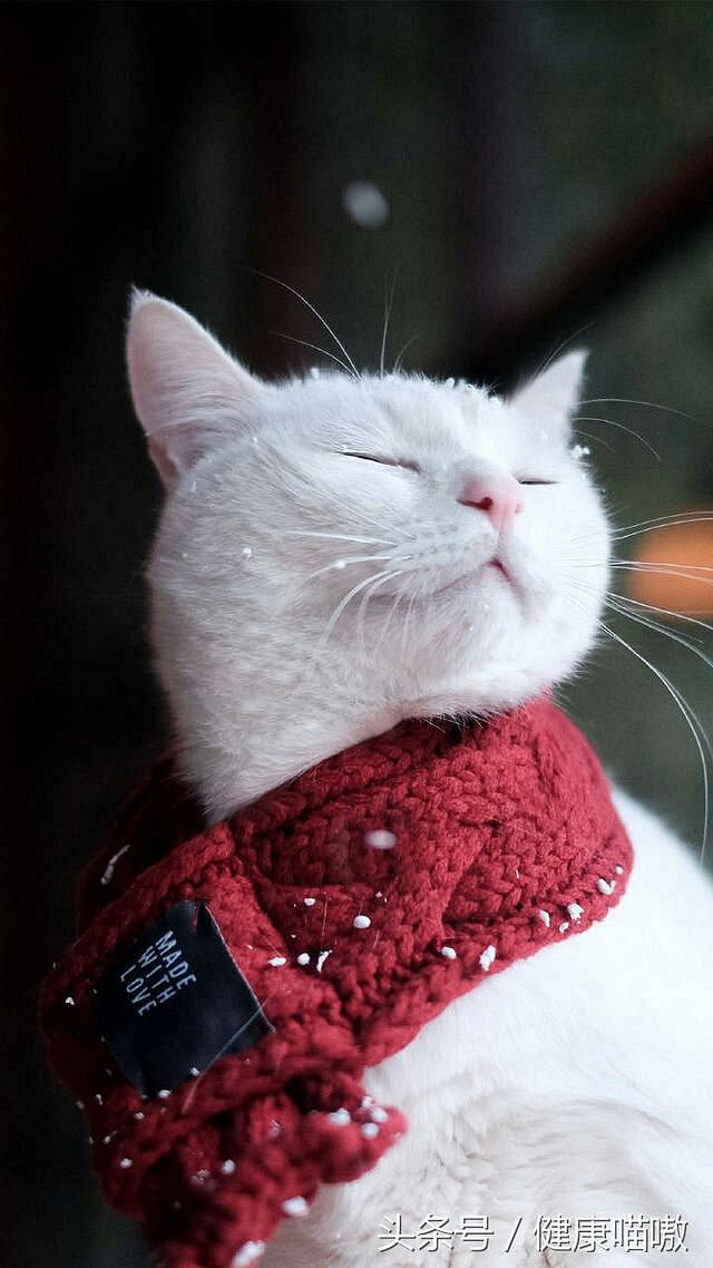 女性多大年龄生孩子最合适? 理论上讲,