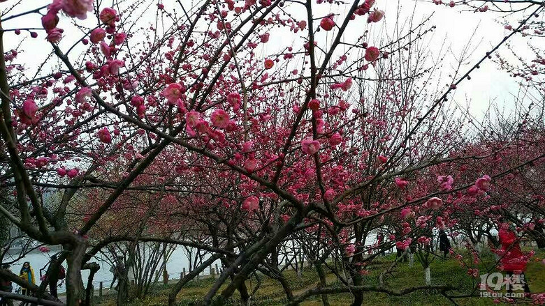 򿨡졪20171