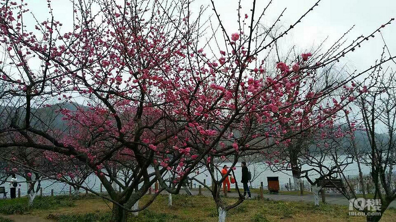 졪20171