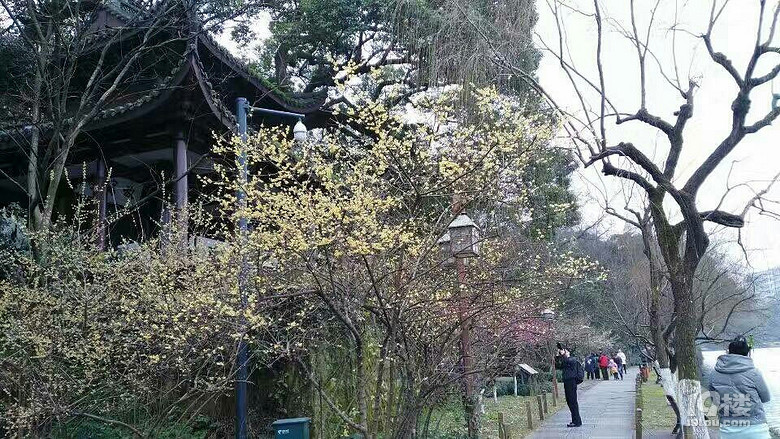 졪20171