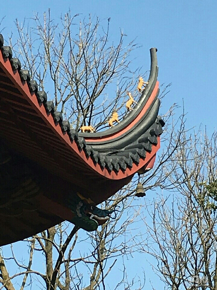 򿨡졪20171