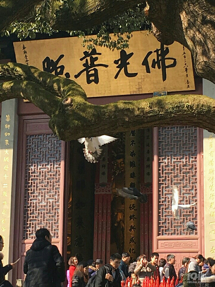 (bo)졪20171