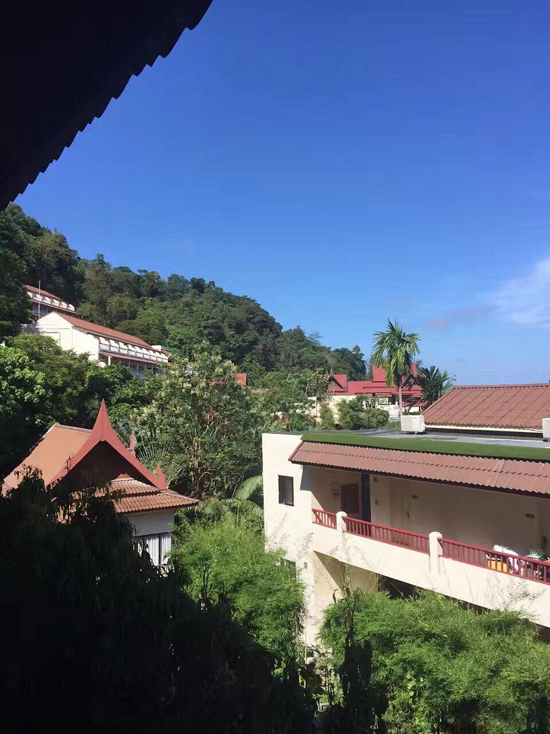 #你觉得今天的星座预测准吗?# 射手座安全度过