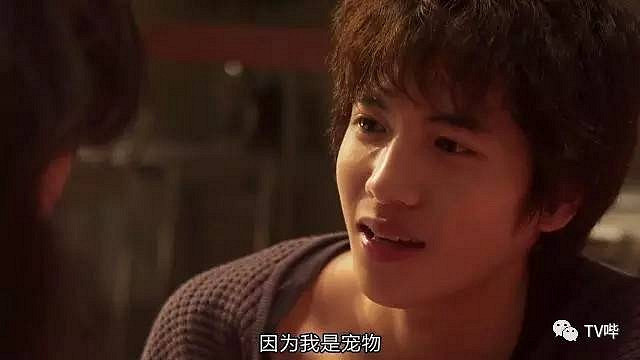 肉食男or草食男? NO!现在流行的是宠物型男友