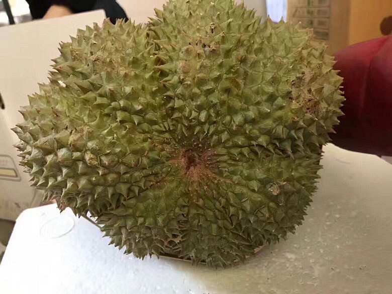 甲仑榴莲优点:榴莲味超重,味道狂野,相对