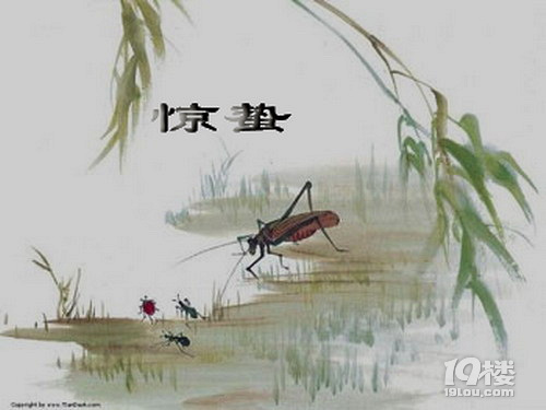 驚蟄到 蟲(chóng)蟲(chóng)醒來(lái)別讓寶寶被咬了