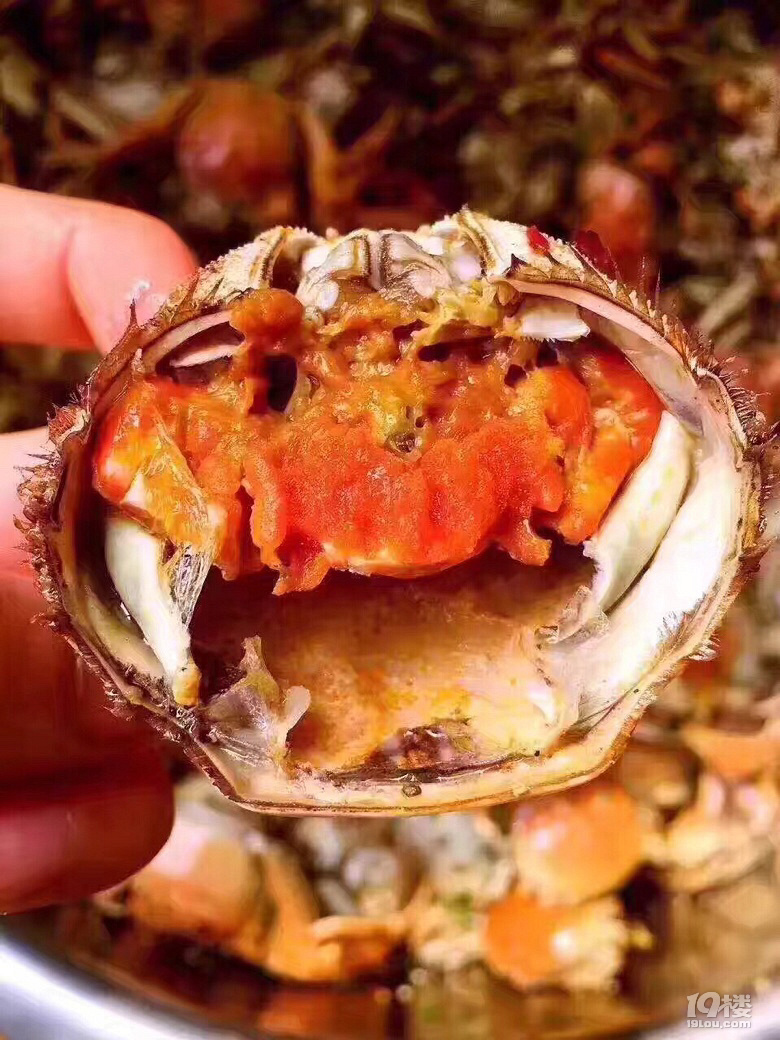 人生终有一别,小闸蟹明天(3.14日)最