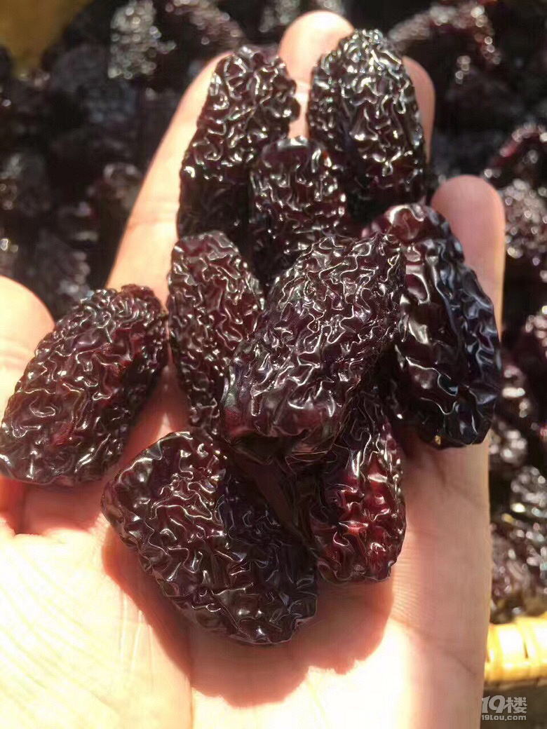 人生终有一别,小闸蟹明天(3.14日)最