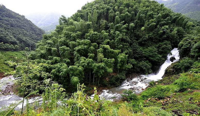 說去踏青結(jié)果迷路 誤打誤撞發(fā)現(xiàn)余杭徑山里的一家餐