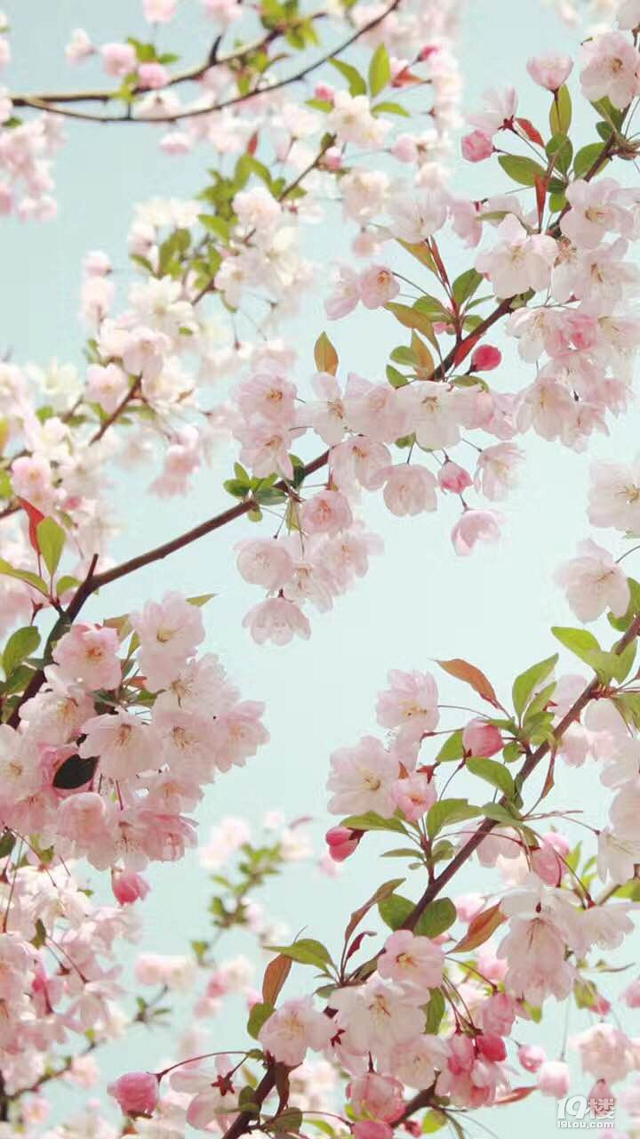 h(hun)3.18-4.20 ǁɫ_(d)¶8{