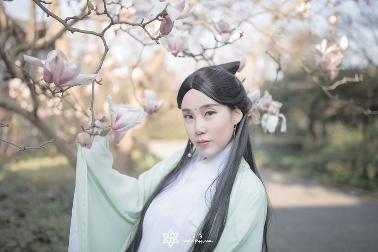 這個(gè)城市的影像—春暖花開(kāi)