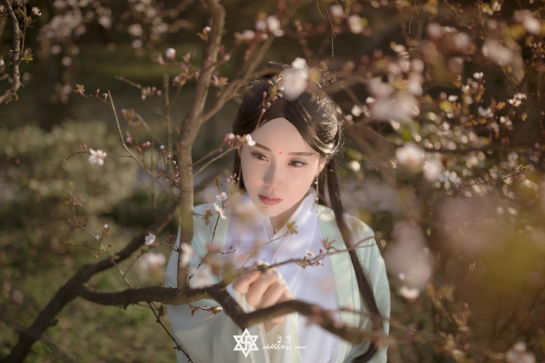 這個(gè)城市的影像—春暖花開(kāi)
