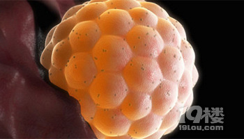 怀孕多久能测出来?受孕后用什么测怀孕 ?