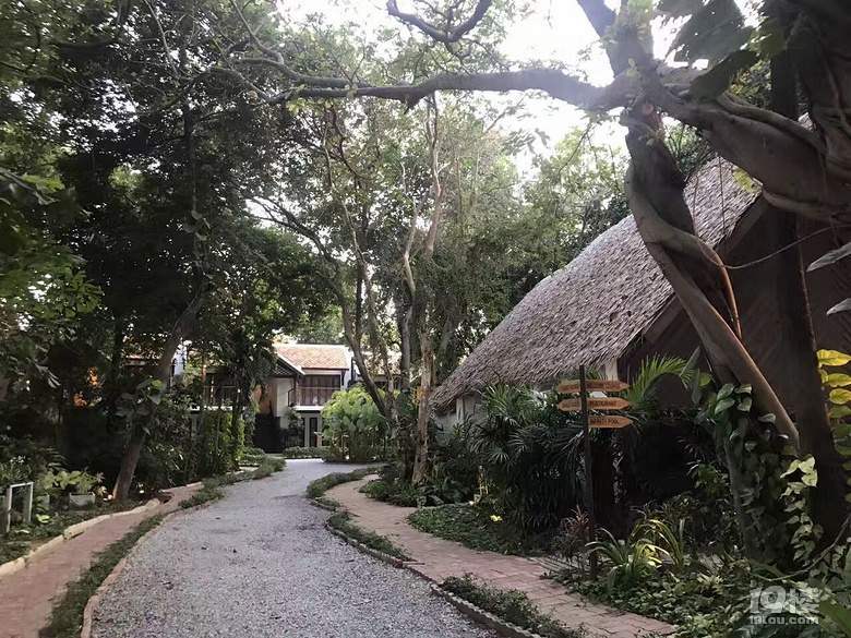 清邁+芭提亞閨蜜游（為了美有小P照片）
