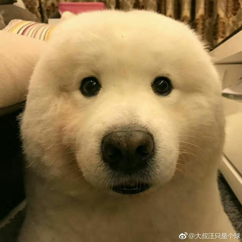 都忘了今天星期几来着了