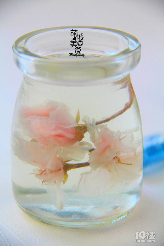 三生三世花無缺，美的不要不要的櫻花果凍