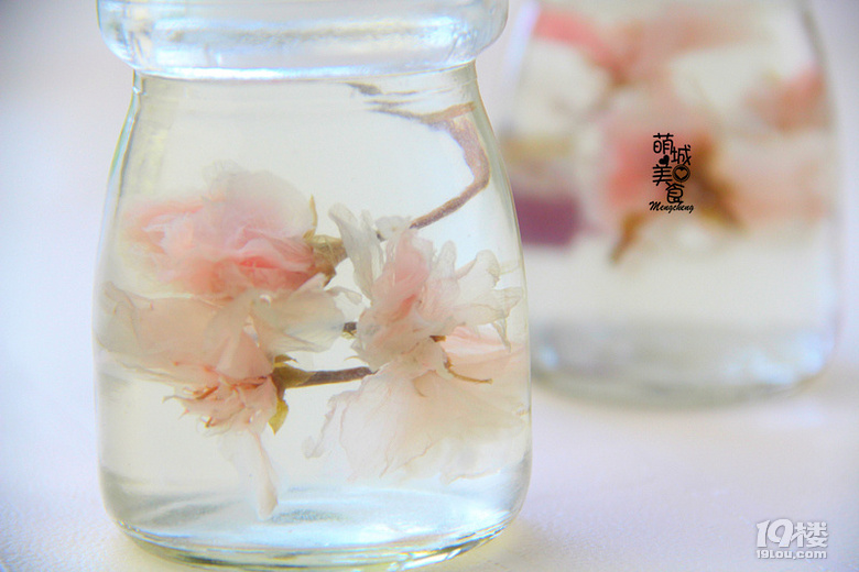 三生三世花無缺，美的不要不要的櫻花果凍