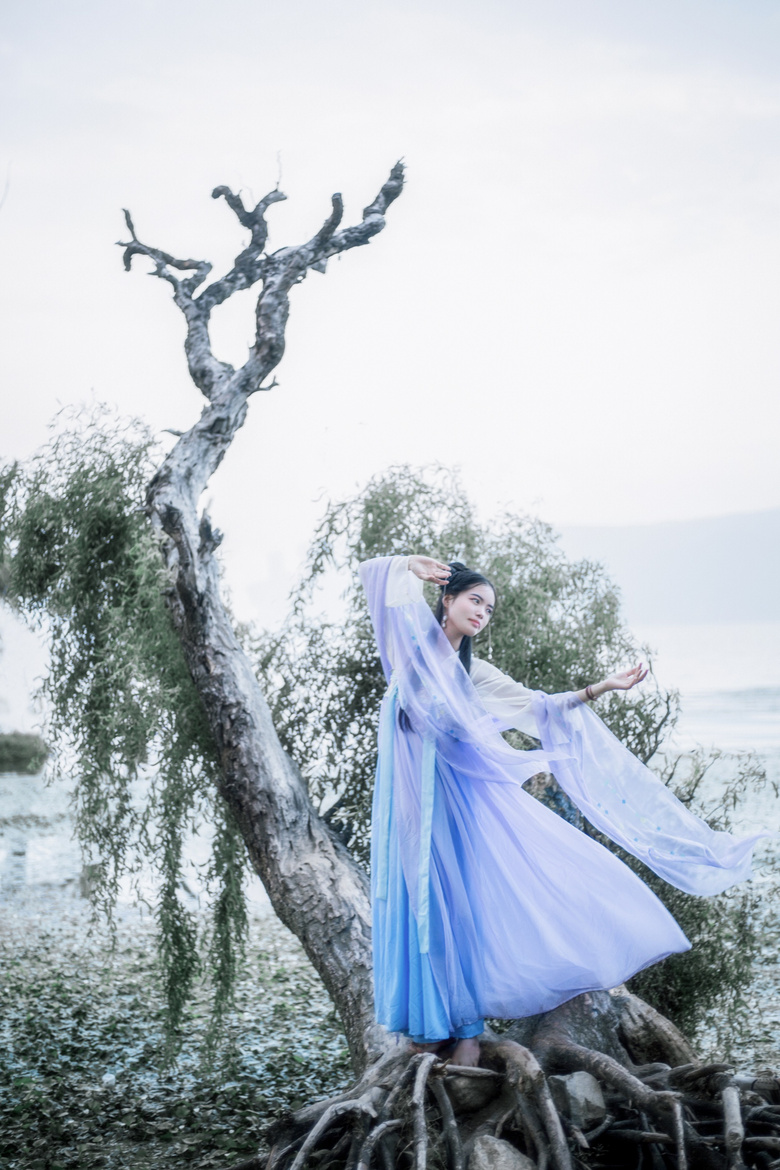 山有木兮木有枝