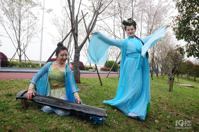 动态情千古穿越到杭州最美樱花美女,中国樱花图ps美女跑道图片