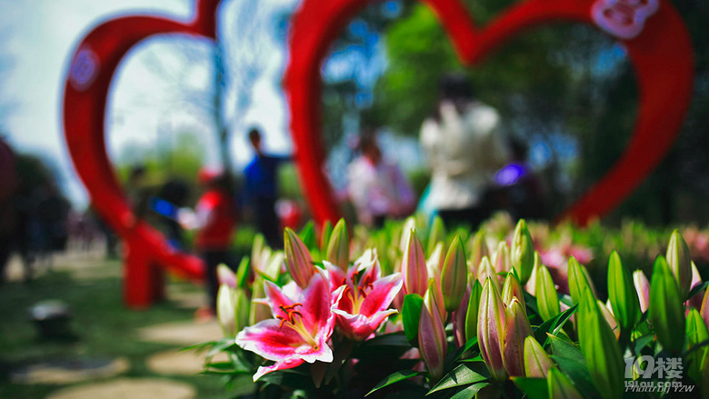 杭州西溪濕地公園2017花朝節(jié)