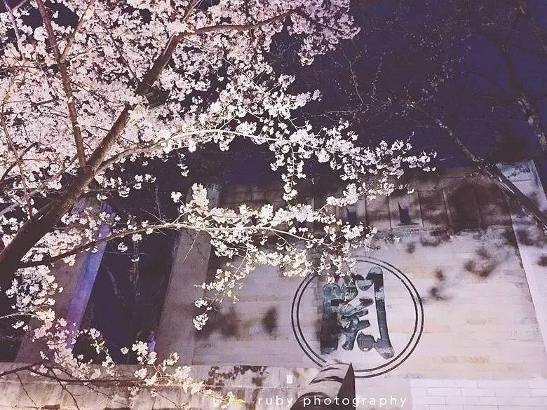 杭州6處小眾賞櫻地、3家可以在花叢中吃飯的餐廳！今天一并送給
