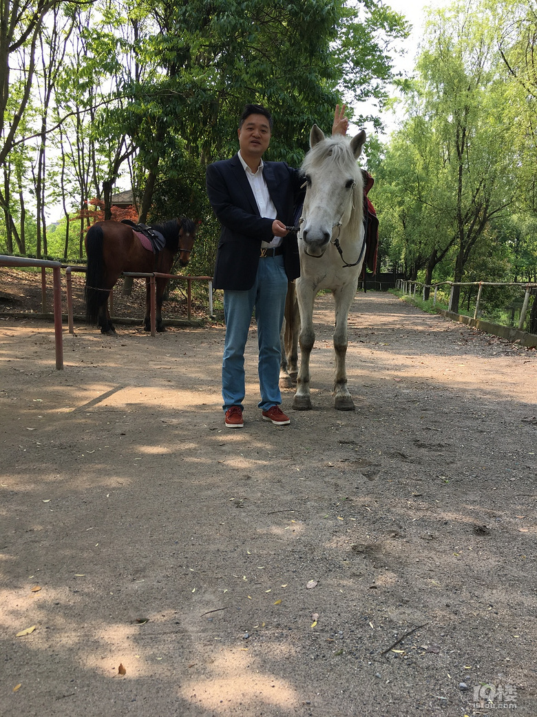 《剪刀手走鄉(xiāng)村》系列--仿佛桃源度大青，游大清村！