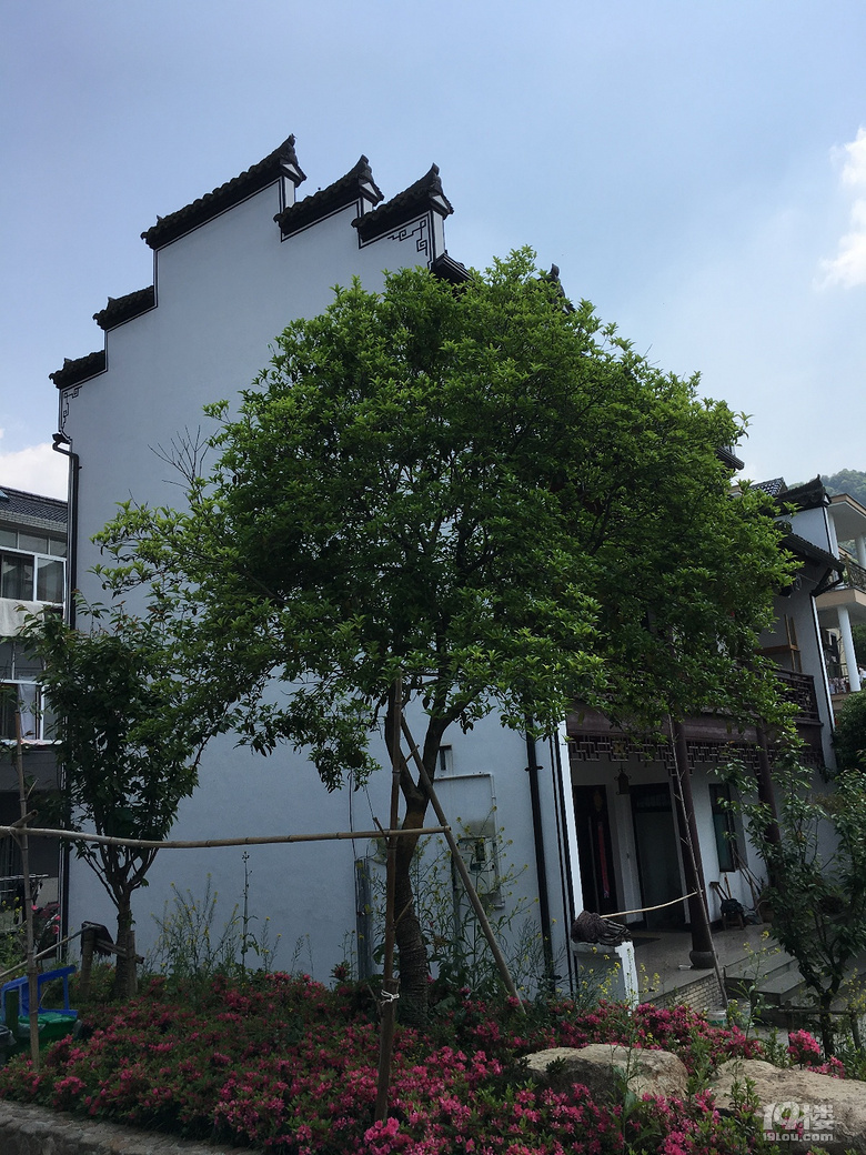 《剪刀手走鄉(xiāng)村》系列--仿佛桃源度大青，游大清村！