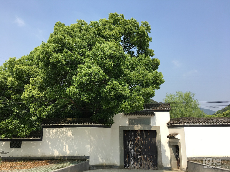 《剪刀手走鄉(xiāng)村》系列--仿佛桃源度大青，游大清村！