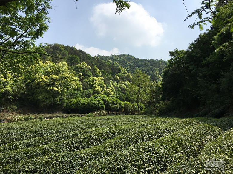 《剪刀手走鄉(xiāng)村》系列--仿佛桃源度大青，游大清村！