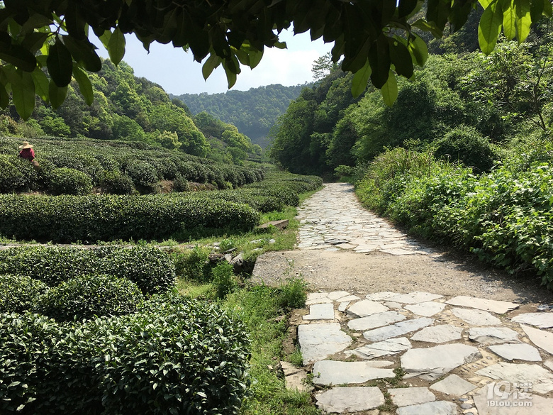 《剪刀手走鄉(xiāng)村》系列--仿佛桃源度大青，游大清村！
