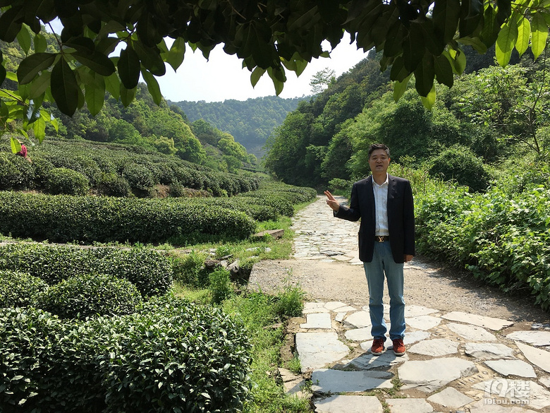 《剪刀手走鄉(xiāng)村》系列--仿佛桃源度大青，游大清村！