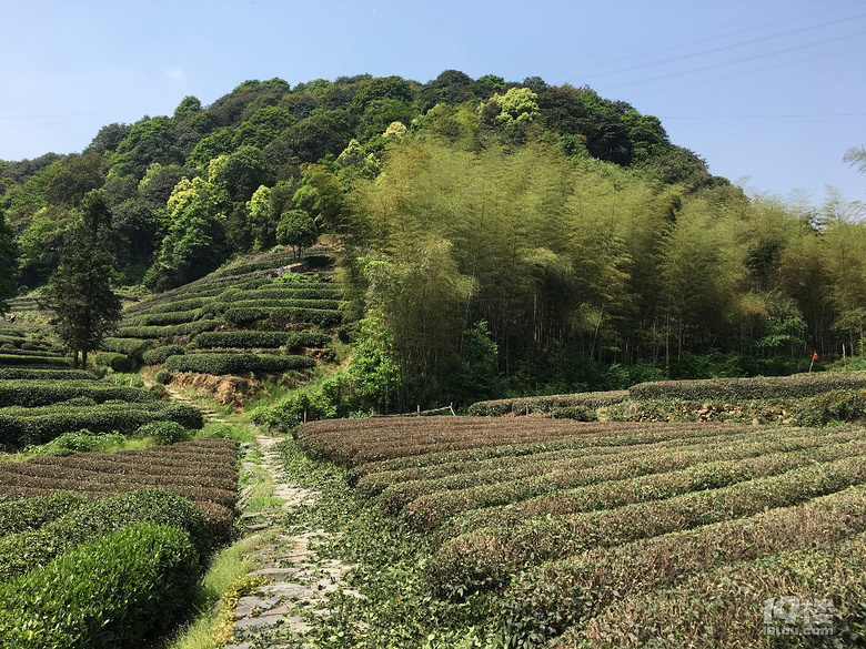 《剪刀手走鄉(xiāng)村》系列--仿佛桃源度大青，游大清村！