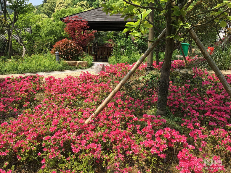 《剪刀手走鄉(xiāng)村》系列--仿佛桃源度大青，游大清村！
