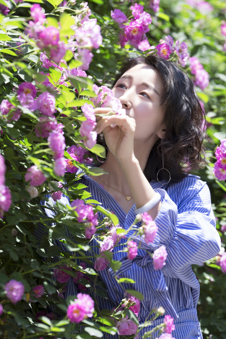 薔薇花開