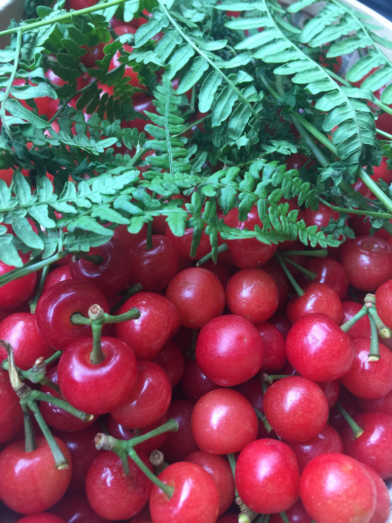 讨厌油烟味,但我爱厨房