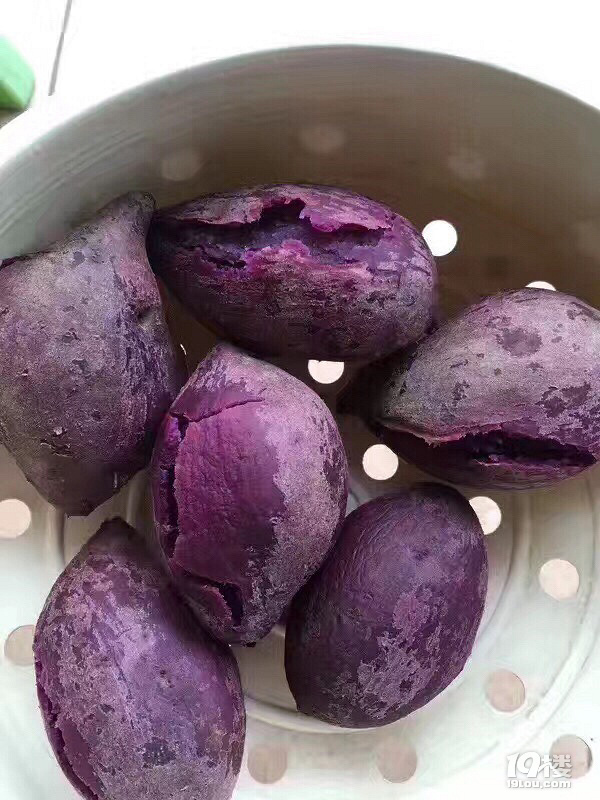 早上好