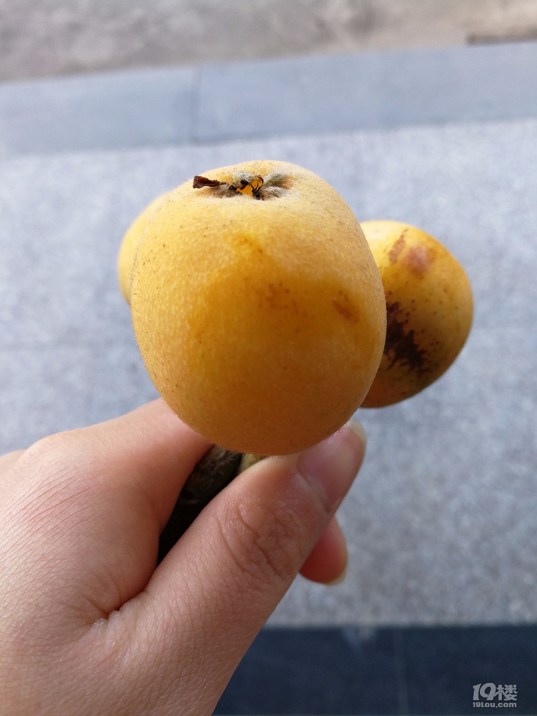 ĩ