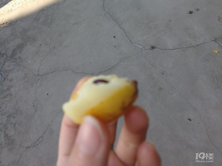 ĩ