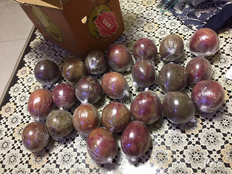 百香果
