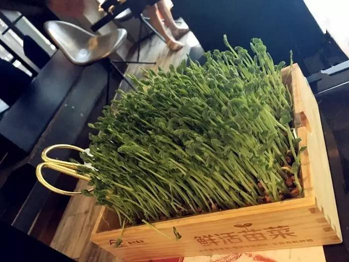 我不管，我還是個(gè)寶寶！兒童節(jié)必須要吃大餐，這3家大商場(chǎng)里的餐