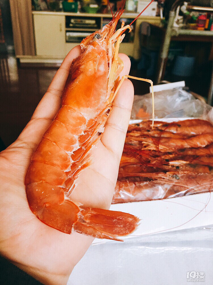 阿根廷大紅蝦