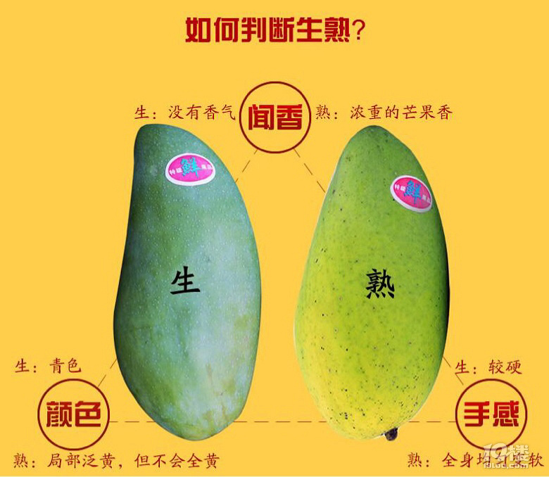 好吃的小金煌芒果(青皮品种更赞哦