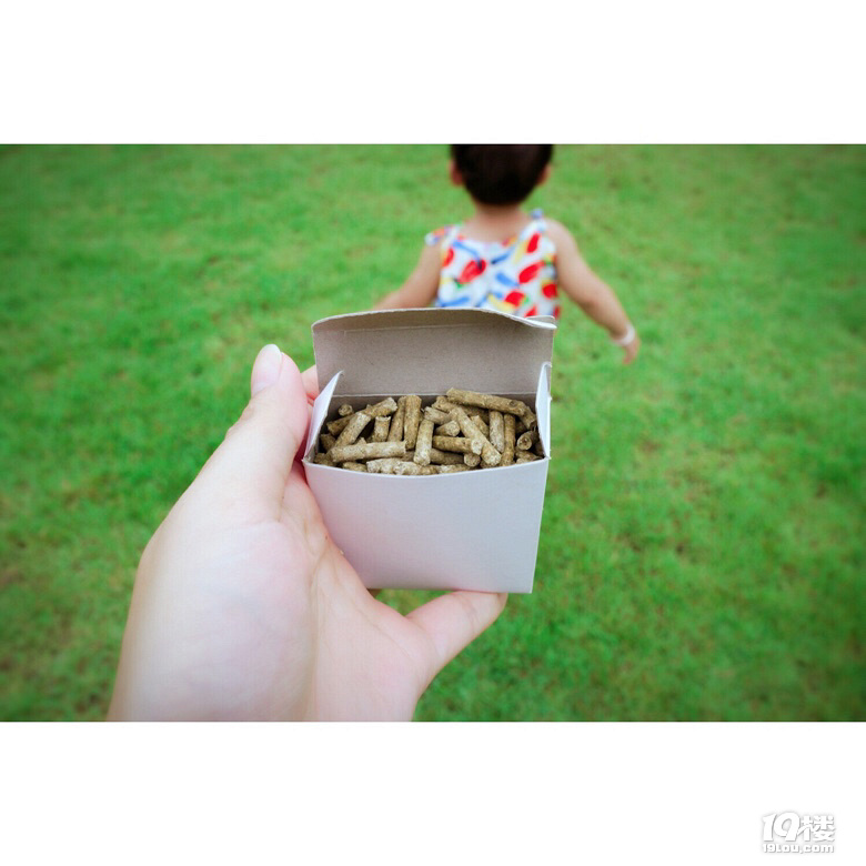 【我們正青春】小小花迷你花的莊園夢