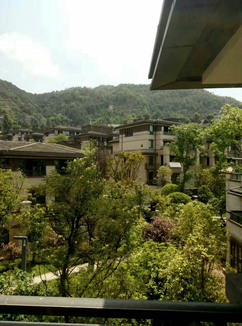 纯价格容积别墅率1年华联排叠拼现房的楼盘高层武汉别墅农耕图片